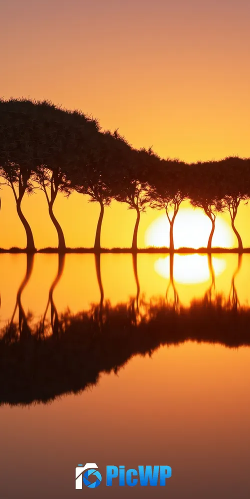 Guitar Island Sunset 3K Mobile Wallpaper