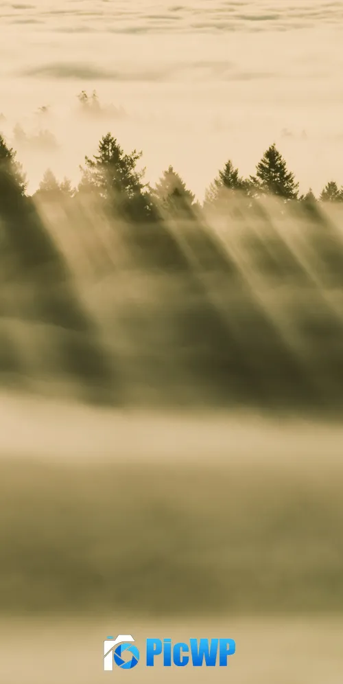 OS X Mavericks Foggy forest 3K Mobile Wallpaper