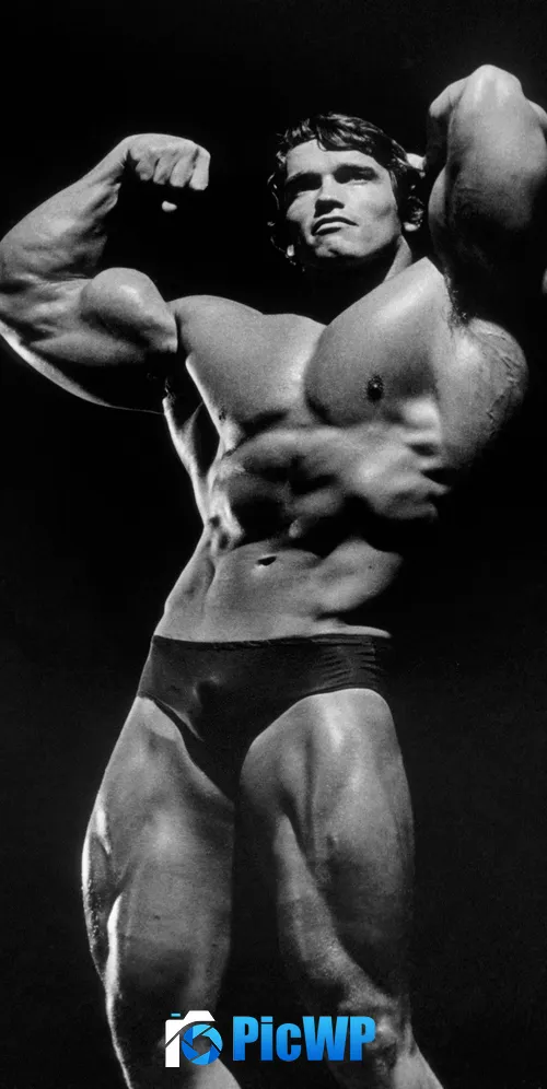 Arnold Schwarzenegger Bodybuilder 3K Mobile Wallpaper