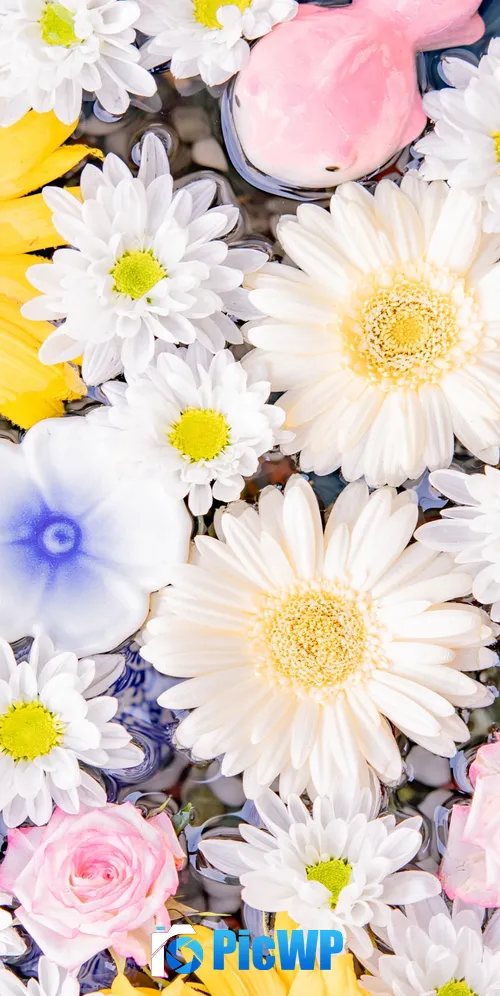 Colorful Flower bouquet 3K Mobile Wallpaper