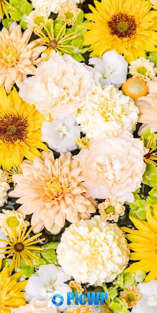 Flower bouquet Yellow aesthetic 3K Mobile Wallpaper