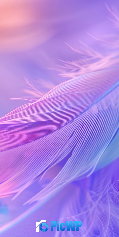 Aesthetic Feathers 3K Mobile Wallpaper