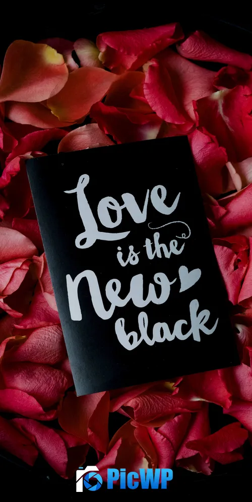 Love is the new Black 3K Mobile Wallpaper