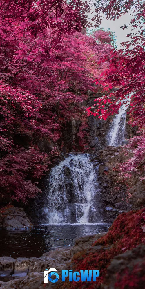 Waterfall Pink aesthetic 3K Mobile Wallpaper