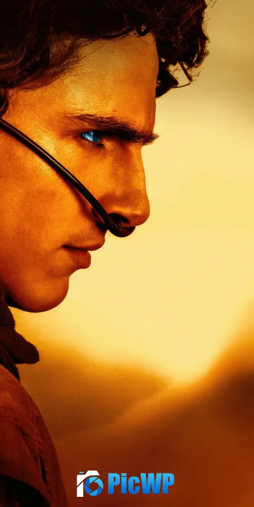 Timothée Chalamet as Paul Atreides Dune 2 3K Mobile Wallpaper