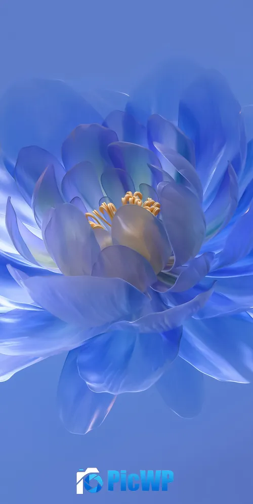 Abstract flower Blue aesthetic 3K Mobile Wallpaper