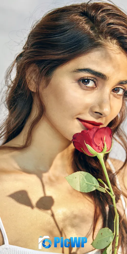 Pooja Hegde Rose flower 3K Mobile Wallpaper