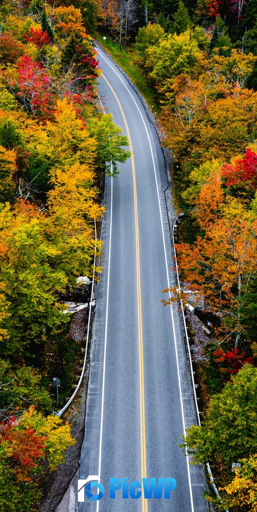 Autumn Landscape 3K Mobile Wallpaper