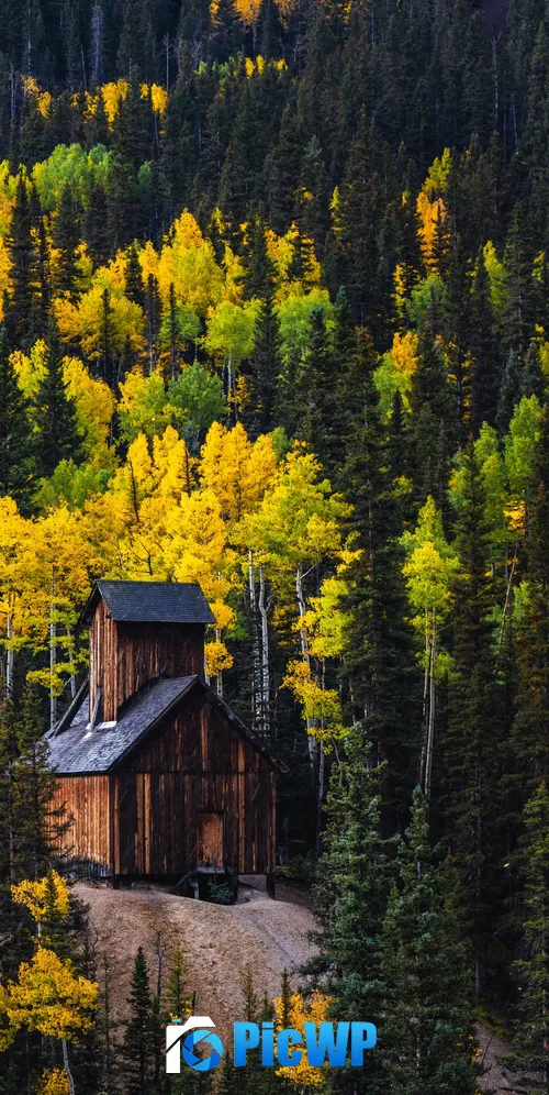 Colorado Boy Mine Wooden cabin 3K Mobile Wallpaper