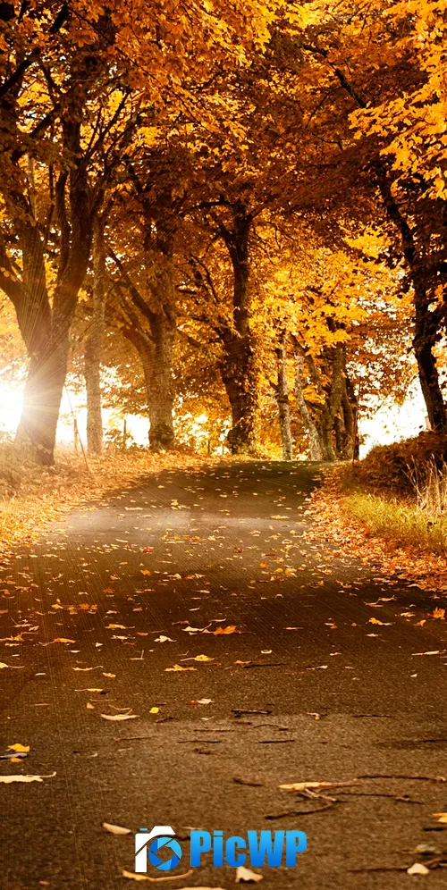 Fall Scenery 3K Mobile Wallpaper