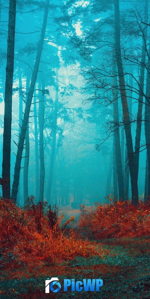 Mystical Foggy forest 3K Mobile Wallpaper