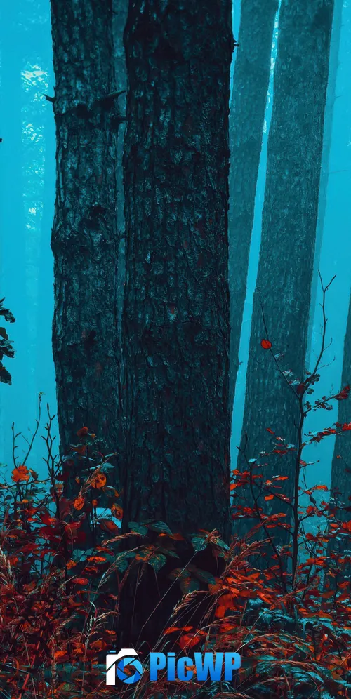 Foggy forest Enchanting 3K Mobile Wallpaper