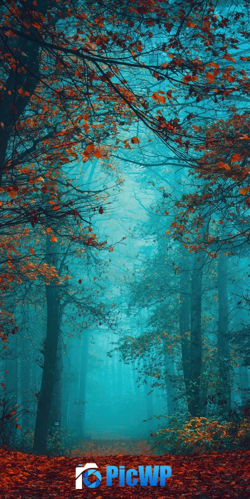 Foggy night Autumn Forest 3K Mobile Wallpaper
