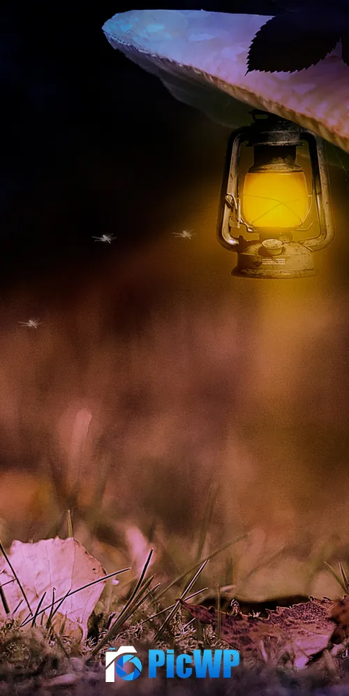 Mushroom house Lantern 3K Mobile Wallpaper