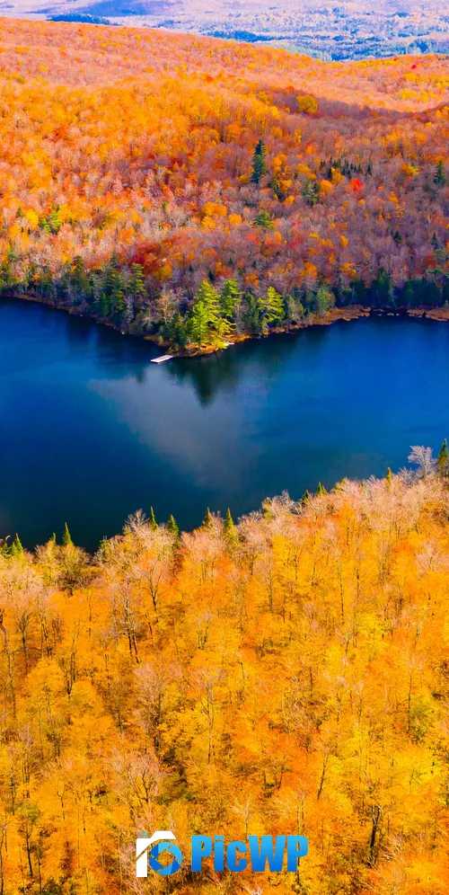 Heart Shaped Lake Autumn Forest 3K Mobile Wallpaper