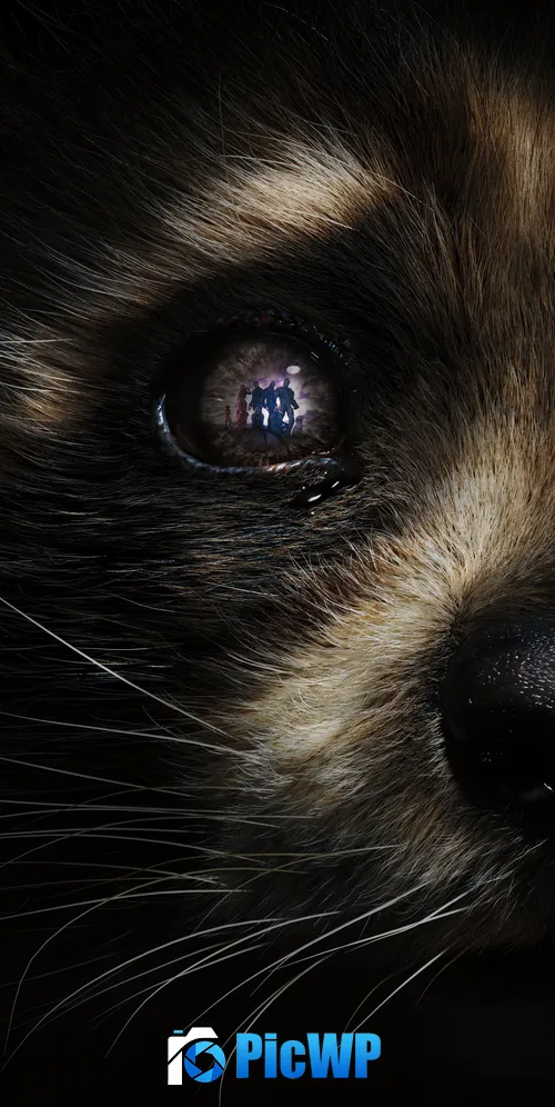 Rocket Raccoon Guardians of the Galaxy Vol. 3 3K Mobile Wallpaper
