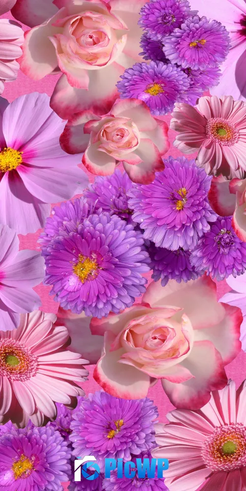Blossom Purple Flowers 3K Mobile Wallpaper