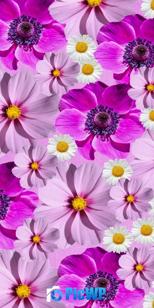 Floral Background Magenta 3K Mobile Wallpaper