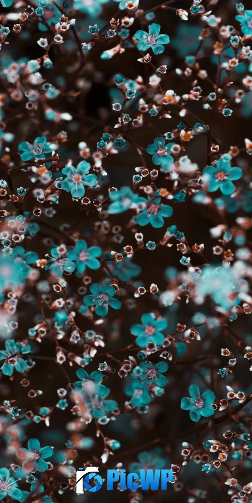 Blue flowers Floral Background 3K Mobile Wallpaper