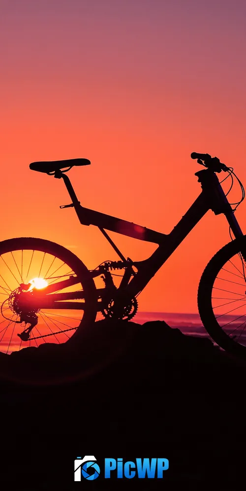 Bicycle Silhouette 3K Mobile Wallpaper
