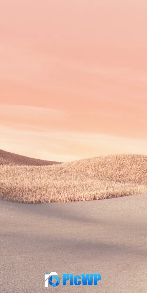 Desert Aesthetic 3K Mobile Wallpaper