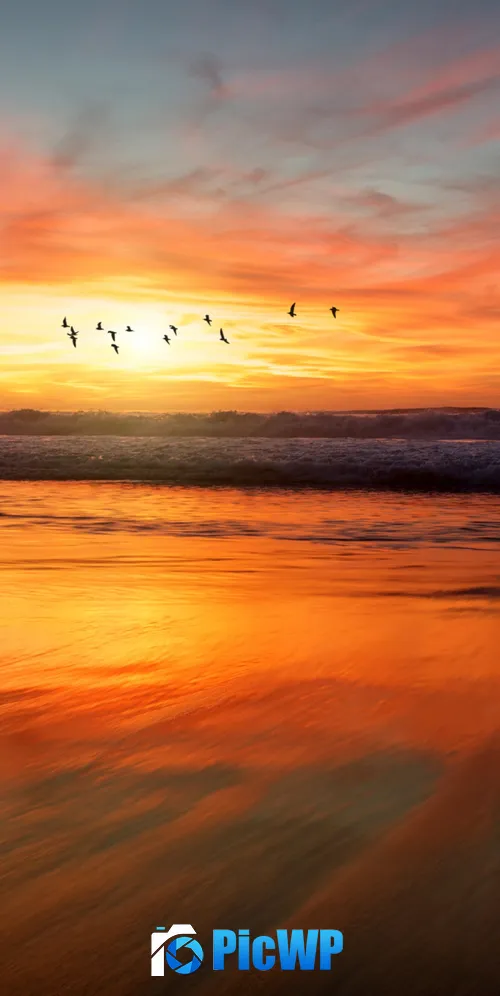 Beach Sunset 3K Mobile Wallpaper