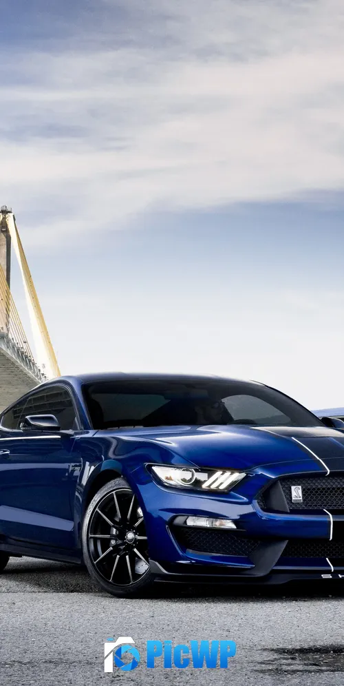 Ford Mustang Shelby GT350 3K Mobile Wallpaper