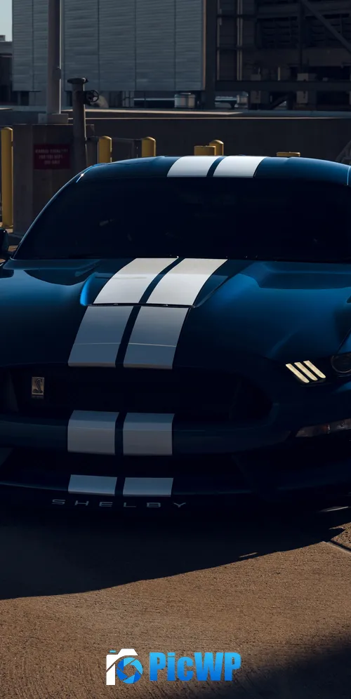 Ford Mustang Shelby GT350 Muscle cars 3K Mobile Wallpaper
