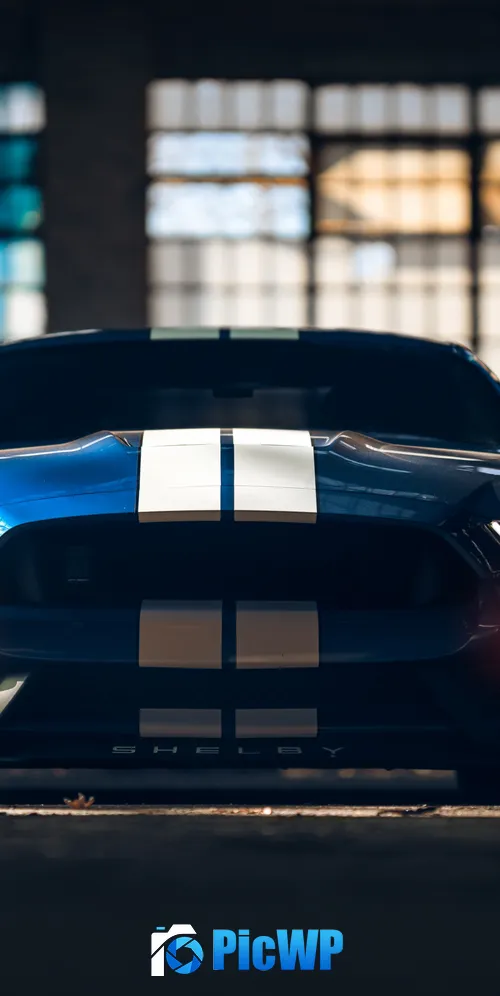 Ford Mustang Shelby GT350 American muscle car 3K Mobile Wallpaper