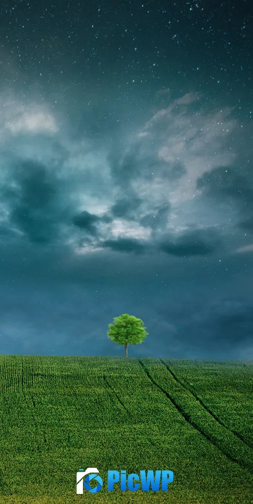 Landscape Lone tree 3K Mobile Wallpaper