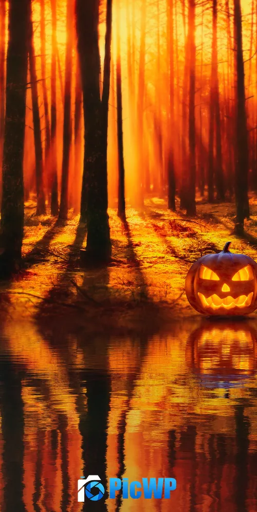 Jack-o'-lantern Halloween Pumpkin 3K Mobile Wallpaper