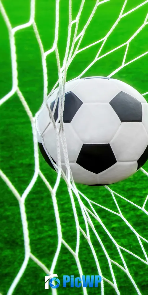 Soccer ball Goal net 3K Mobile Wallpaper