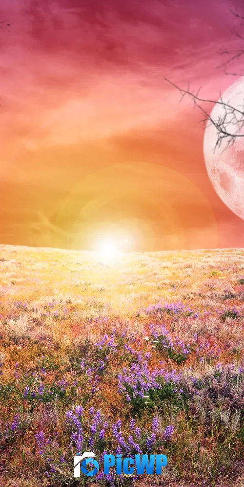 Sunrise Landscape 3K Mobile Wallpaper
