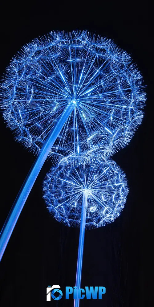Dandelion Lights Dandelion flowers 3K Mobile Wallpaper