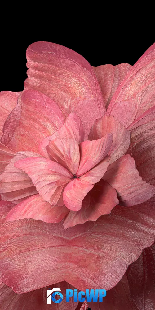 Floral Background Peach background 3K Mobile Wallpaper