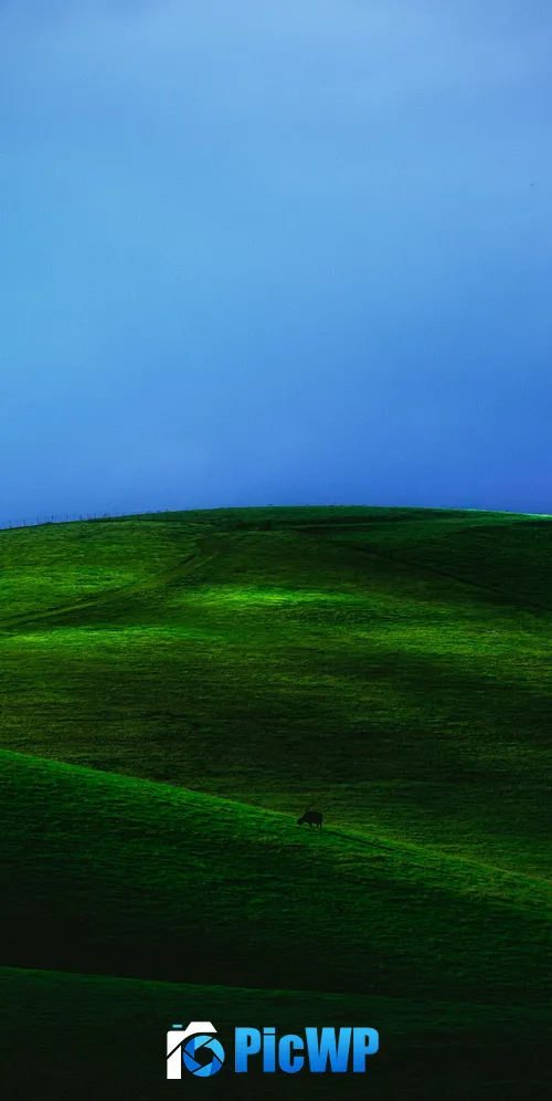 Countryside Green Meadow 3K Mobile Wallpaper