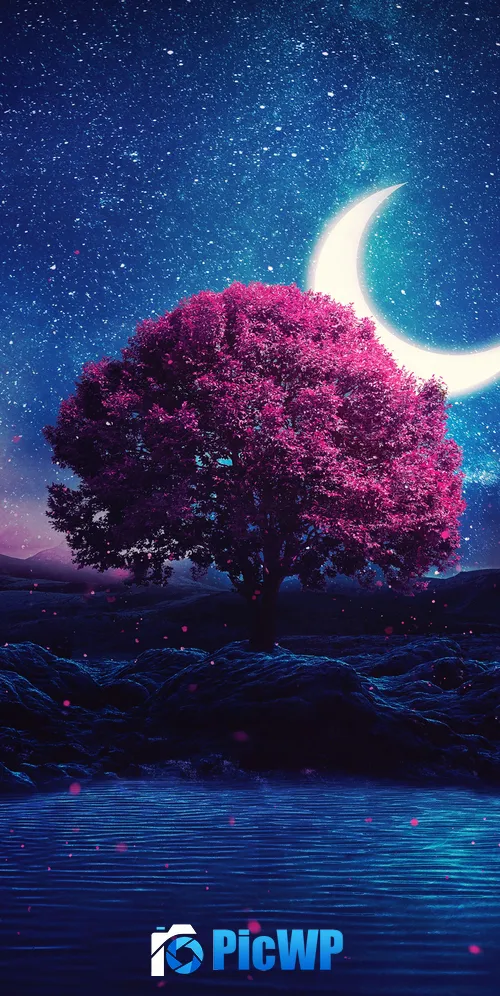 Aesthetic Lone tree 3K Mobile Wallpaper