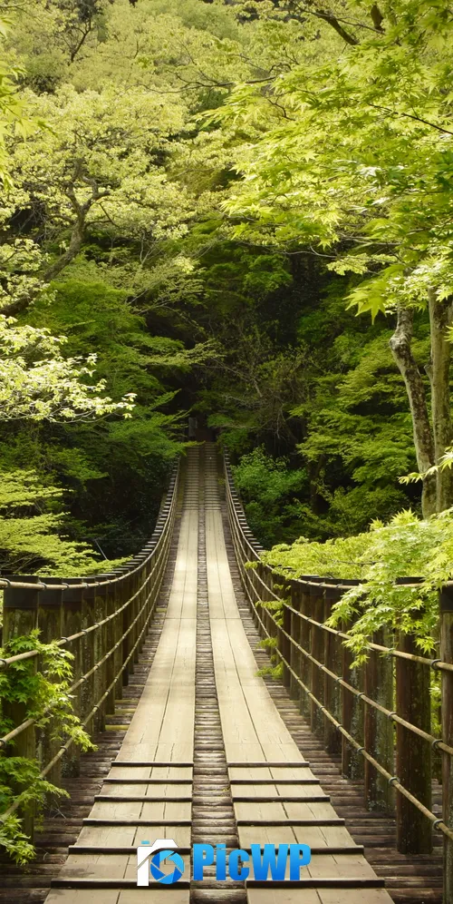 Hananuki Gorge Japan 3K Mobile Wallpaper