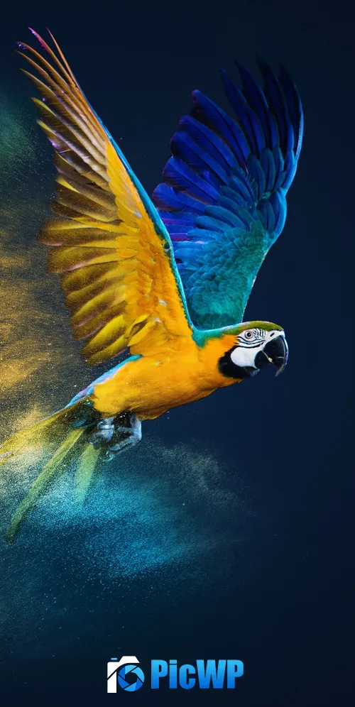 Blue-and-yellow macaw Colorful background 3K Mobile Wallpaper