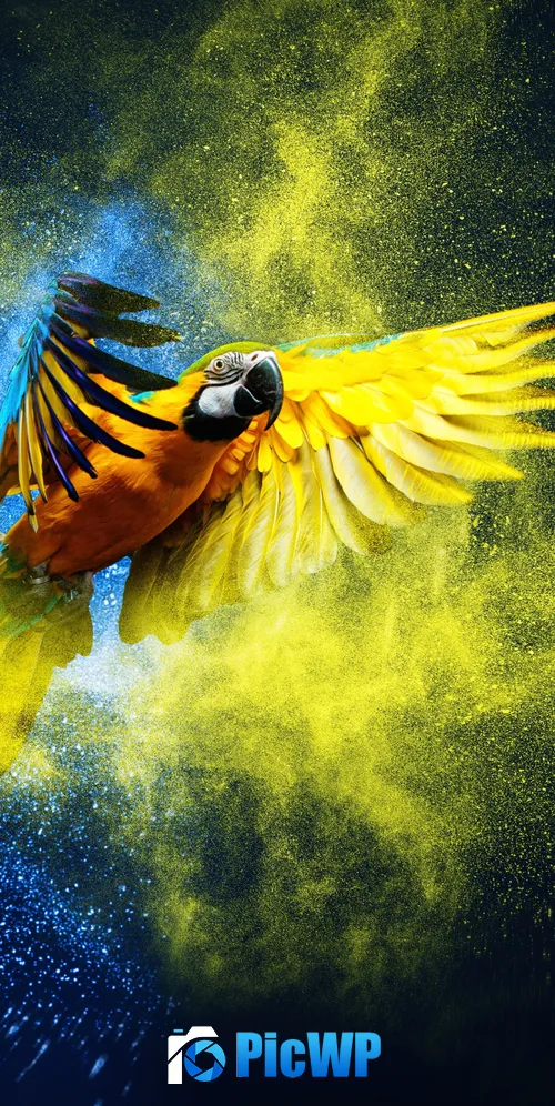 Blue-and-yellow macaw Macaw 3K Mobile Wallpaper
