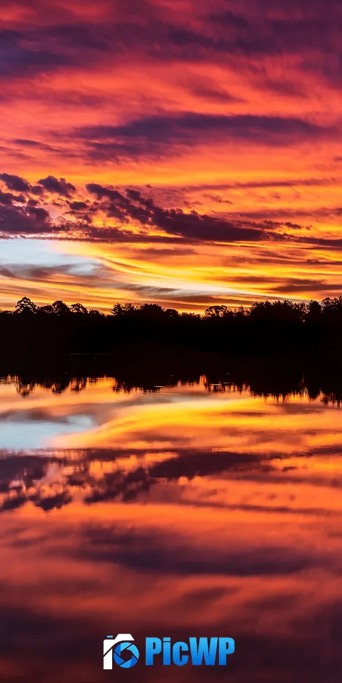 Sunset over a lake with trees 3K Mobile Wallpaper
