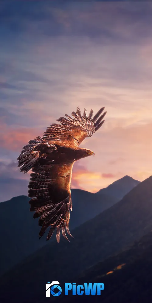 Eagle Sunset 3K Mobile Wallpaper