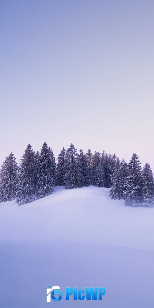 Winter Snow covered 3K Mobile Wallpaper