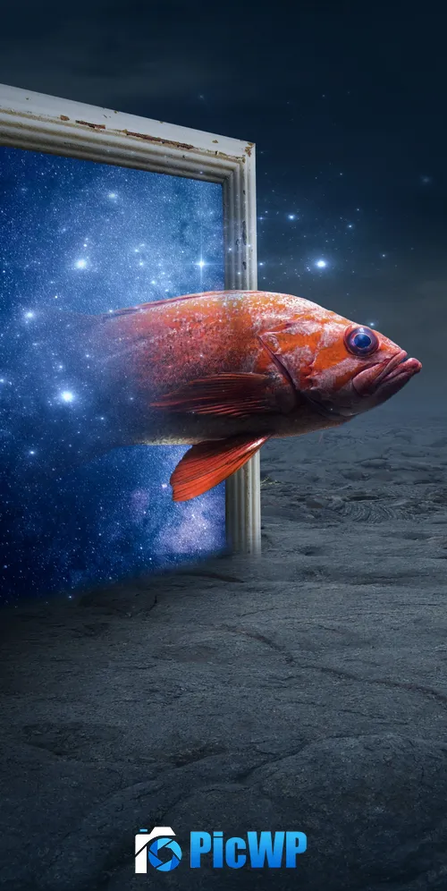 Orange Fish Photo Manipulation 3K Mobile Wallpaper