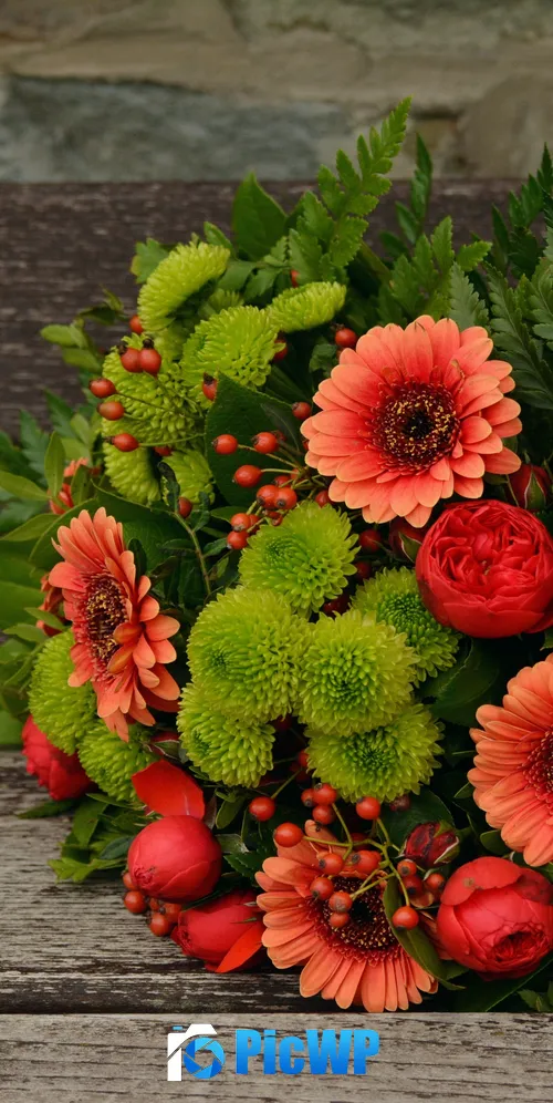 Bunch of Flowers Gerbera Daisy 3K Mobile Wallpaper