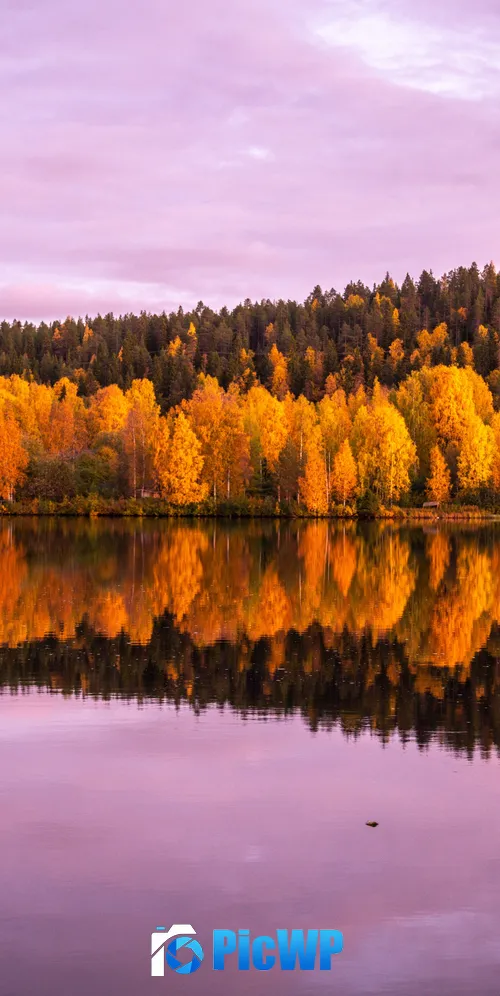 Autumn trees 3K Mobile Wallpaper