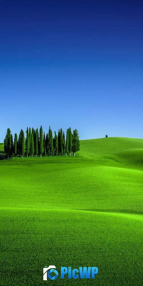 Green Meadow Torrenieri 3K Mobile Wallpaper