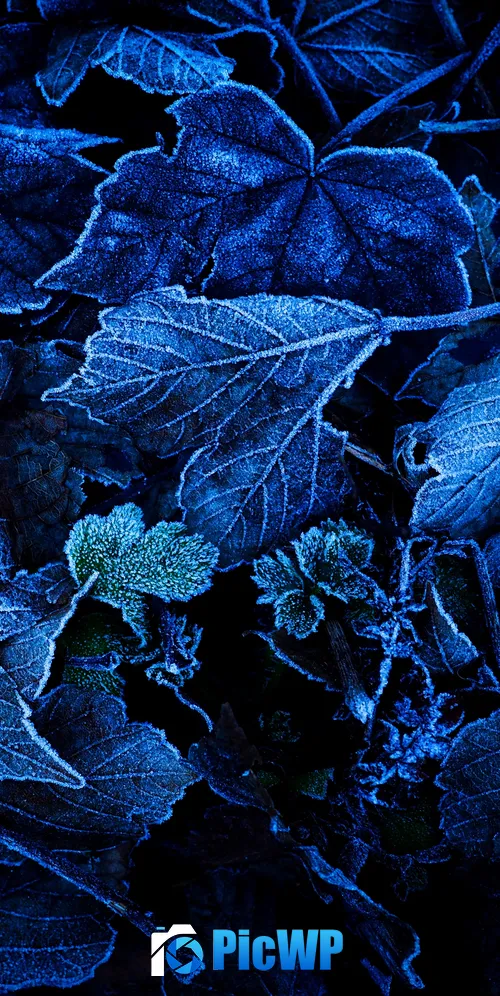 Frozen Leaves Foliage 3K Mobile Wallpaper
