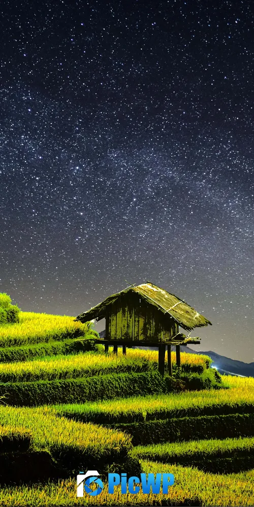 Terrace farming Rice fields 3K Mobile Wallpaper
