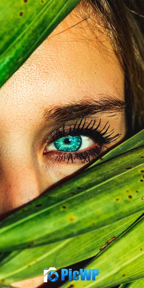Blue eyes Green leaves 3K Mobile Wallpaper